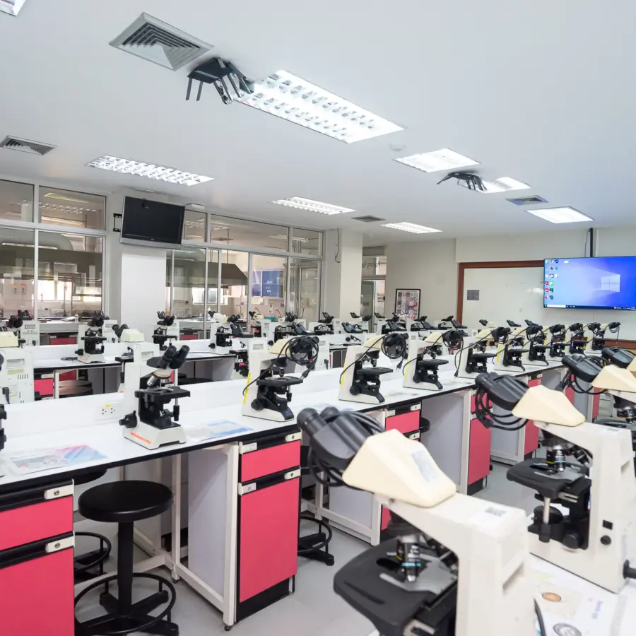 lab