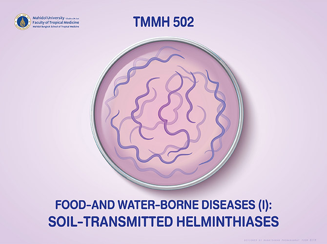 TMMH 502