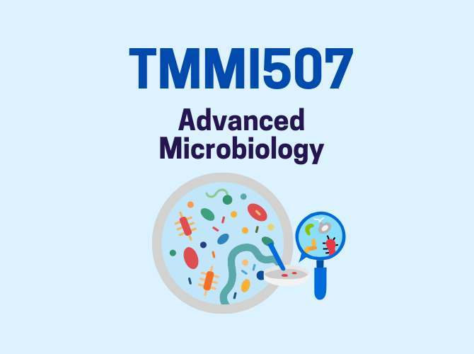 TMMI 507
