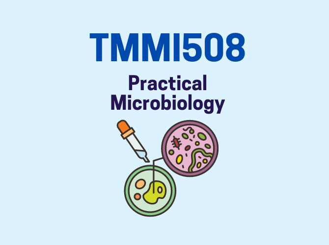 TMMI 508