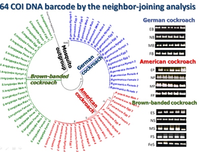 dna-barcodes_0