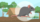 Leptospirosis
