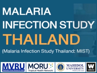 Malaria Infection