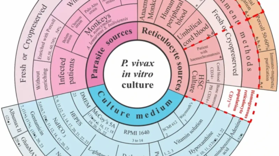 Pvi__1_